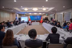 促进构建在日本越南信息技术企业网络