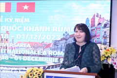 罗马尼亚驻越南大使：范明政罗马尼亚之行是两国关系重要的里程碑
