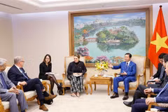 越南与丹麦企业加强对接 开展可再生能源项目
