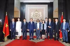 越南共产党代表团与摩洛哥众议院副议长纳迪亚·图阿米合影。图自越通社
