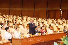 苏林总书记、国家主席出席会议。图自越通社