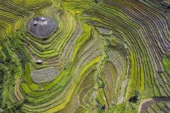 和平省乐山县沔隊乡美景梯田层层叠叠美不胜收。图自越通社