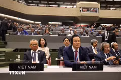 越南国会代表团团长阮孟进（左）和越南常驻联合国、世界贸易组织（WTO）和在瑞士日内瓦其他国际组织代表团团长梅潘勇大使。图自越通社