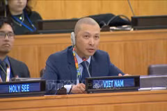 越南常驻联合国代表团副团长阮黄元在讨论会上发表讲话。图自越通社