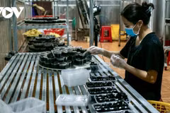 到石安品尝东北山林特色美食。图自VOV