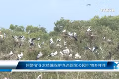 同塔省寻求措施保护鸟西国家公园生物多样性