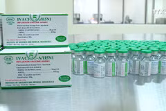 越南成功生产季节性流感疫苗和H5N1禽流感疫苗