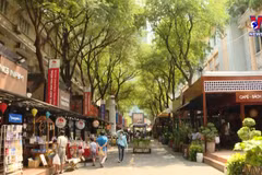 “越南人游越南”刺激国内旅游需求计划启动