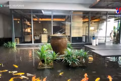 越南酒店跻身亚洲最令人印象深刻的酒店行列
