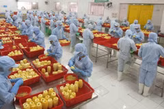 组图：2021年前6月越南进出口总额达逾3160亿美元