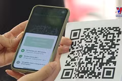 越南于4月15日向人民发放疫苗护照 