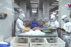 中美日三国增加越南水产品进口量