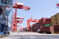 IMF专家：2023-2024年越南是全球经济亮点之一