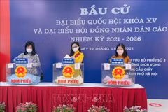 越南大多数地区选民投票率较高