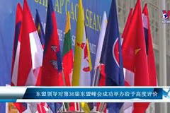 东盟领导对第36届东盟峰会成功举办给予高度评价