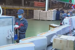 北宁省企业坚持两手抓 保持企业活力