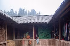 土坯房利用天然材料建造，如粘土、木材、竹子。房子没有钢筋，但仍然坚固安全。图自越南之声