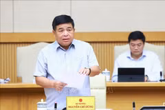 越南计划投资部部长阮志勇在会议上发表讲话。图自越通社