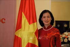 黎金龟大使：几内亚比绍共和国总统正式访问越南具有重要意义