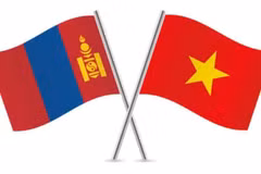 附图 图自互联网