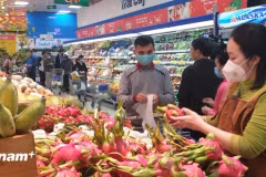 今年5月份，越南蔬果出口额预计达7亿美元，较去年同期增长7.4%。图自vietnam+