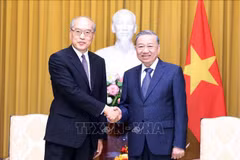 苏林总书记、国家主席与中国首席大法官、最高人民法院院长张军亲切握手。图自越通社