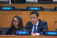 越南常驻联合国代表团团长邓黄江大使在一般性辩论会上发表讲话。图自越通社