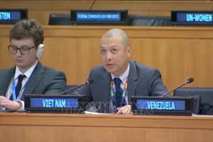 越南常驻联合国代表团副团长阮黄原公使在会议上发表讲话。图自越通社
