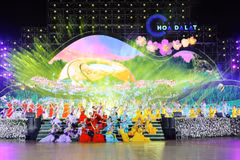 大叻花卉节将于12月5日开幕，长达1个月。图自互联网