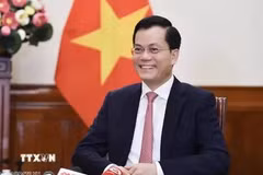 越南外交部副部长何金玉。图自越通社