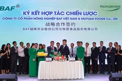 BAF越南与中国牧原领导签署战略合作协议。图自Bnews