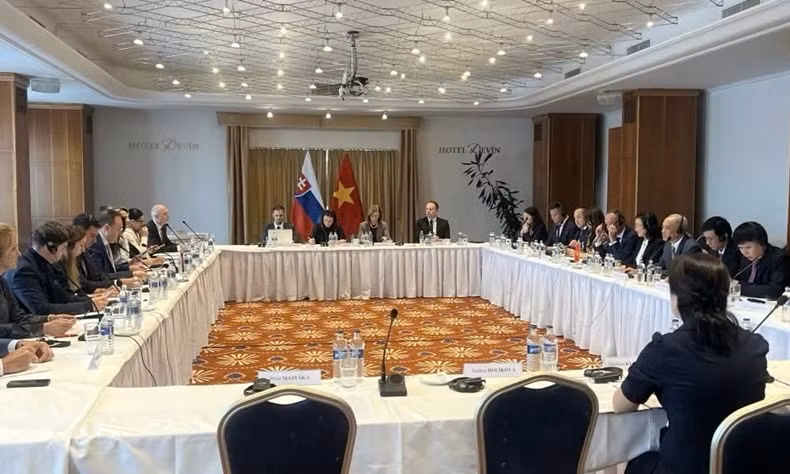 越南-斯洛伐克经济合作政府间联合委员会第三次会议日前在布拉迪斯拉发举行。图自bnews.vn