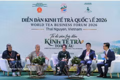 2026年国际差经济论坛在太原省举行。图自越通社