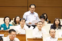 第十六届国会第二次会议：农业与环境部长就防灾减灾和生物技术发展作说明报告。图自越通社