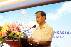 得乐省工贸厅副厅长阮海潮在研讨会上致辞。图自越通社