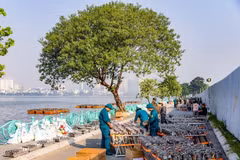 抓紧在西湖沿岸区域安装烟花发射架系统，为烟花表演活动做准备。图：越通社发