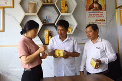黎禄君公司的产品已荣获OCOP三星级认证，并成功出口至韩国市场。图自越通社