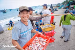 传统渔村永新：现代潮流中咸鲜的海味