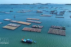 海洋养殖——越南海洋经济的新动力