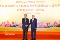 2025年8月31日，越南国会主席陈青敏与中国全国人大常委会委员长赵乐际在河内共同主持越南国会与中国全国人大联合委员会第一次会议。图自越通社
