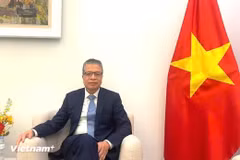 越南驻俄罗斯联邦大使邓明魁。图自Vietnam+