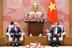 越南国会主席陈青敏（由）会见由韩国Hansoll纺织公司董事长、韩越友好协会主席李辛贾率领的代表团。图自越通社