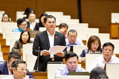 林同省代表杨克梅发表意见。图自越通社