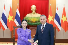 越共中央总书记苏林会见泰王国总理佩通坦·钦那瓦