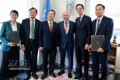 岘港市人民委员会主席阮孟雄（左三）在纽约与联合国开发计划署领导举行工作会谈。图自越通社