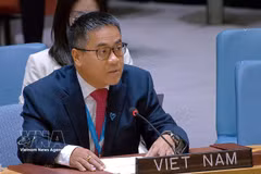 越南常驻联合国代表团副团长阮海刘公使在会上发表讲话。图自越通社