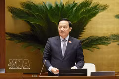 越南国会副主席阮克定主持会议。图自越通社