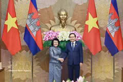 越南国会主席陈青敏与柬埔寨国会主席昆索达莉举行会谈。图自越通社
