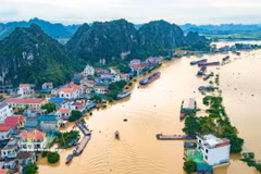 宁平省嘉远乡更嘉村区域在暴雨洪水后严重被淹。图自越通社