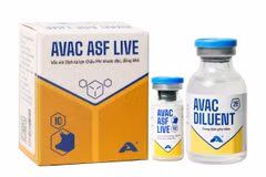 AVAC ASF LIVE疫苗。图自AVAC股份公司官网